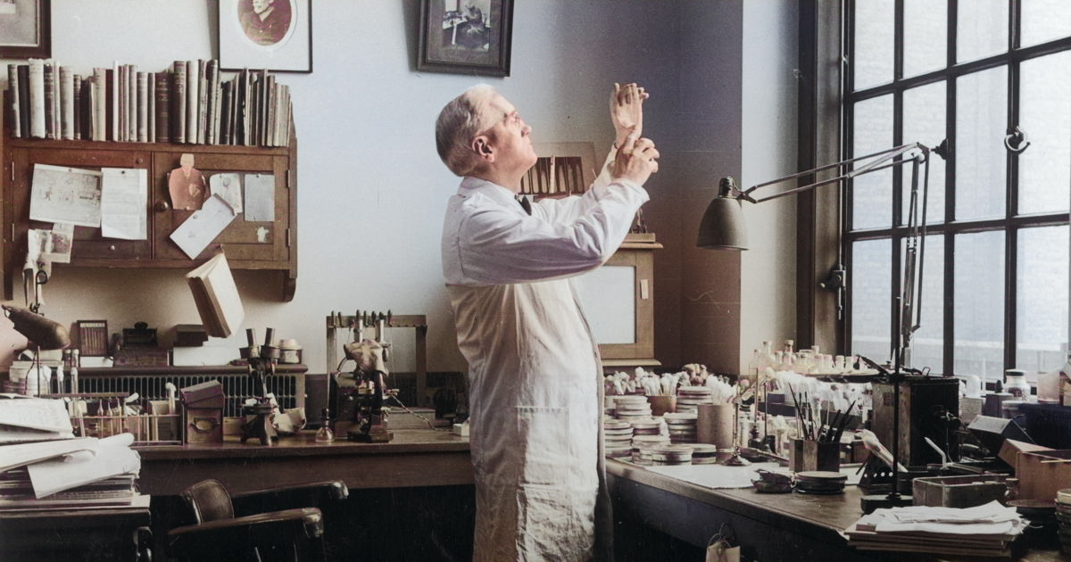 Alexander Fleming in his laboratory examing Petri dishes.